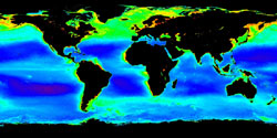 spring phytoplankton bloom