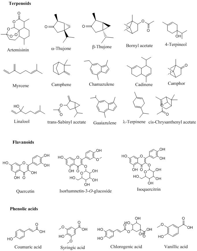 Bioactive-components-of-wormwood