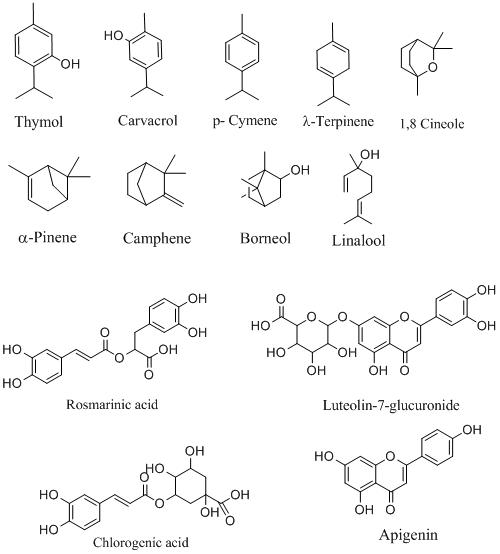 Chemicals-present-in-thyme-leaf