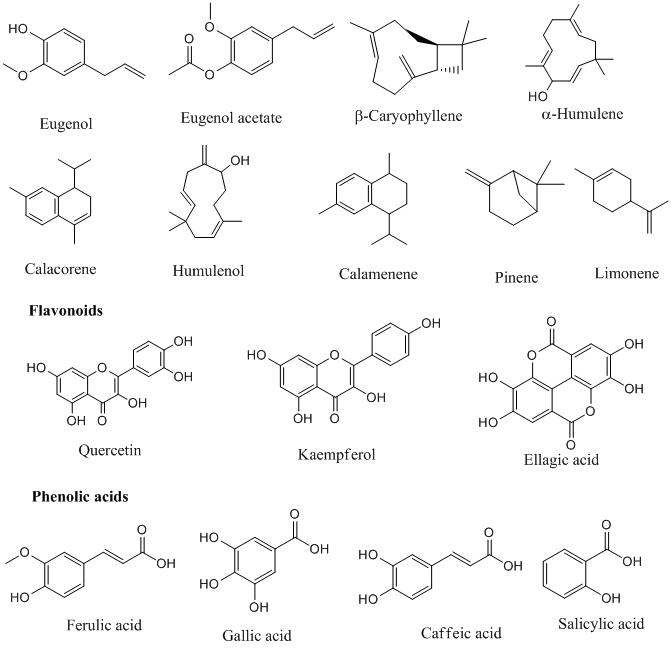 Chemicals-present-in-clove