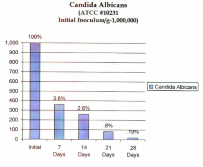 Candida анализ. Candida albicans 10 3 кое/мл. Candida albicans 10 в 4 кое/тамп. Кандида альбиканс анализ.