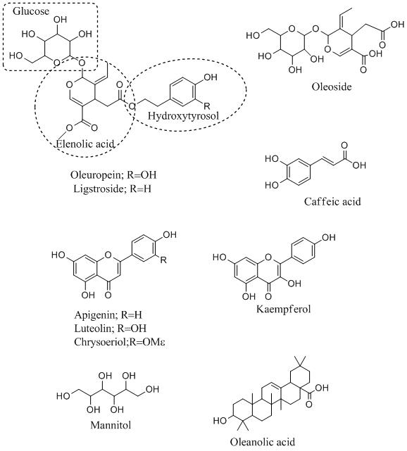 Olive-Leaf-Chemicals