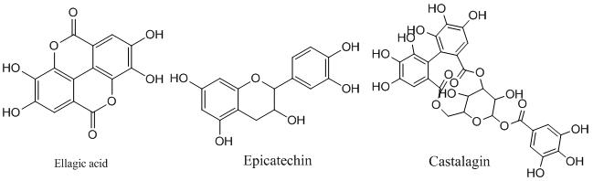 Plant-Tannin-Chemicals