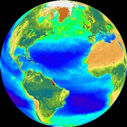 phytoplankton in Atlantic ocean