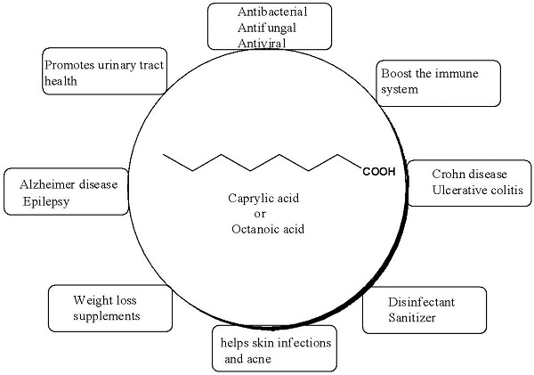 Caprylic-acid-Benefits