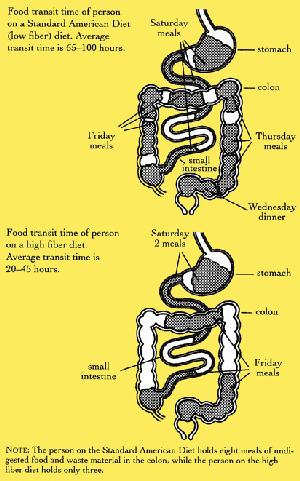 colon cleansing